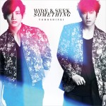 dbsk_hide_ltd