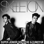 donghaeeunhyuk_skeleton_fanclub