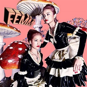 femm_pow01